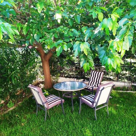 فيلا House With Garden Netflix Nea Kerasia المظهر الخارجي الصورة